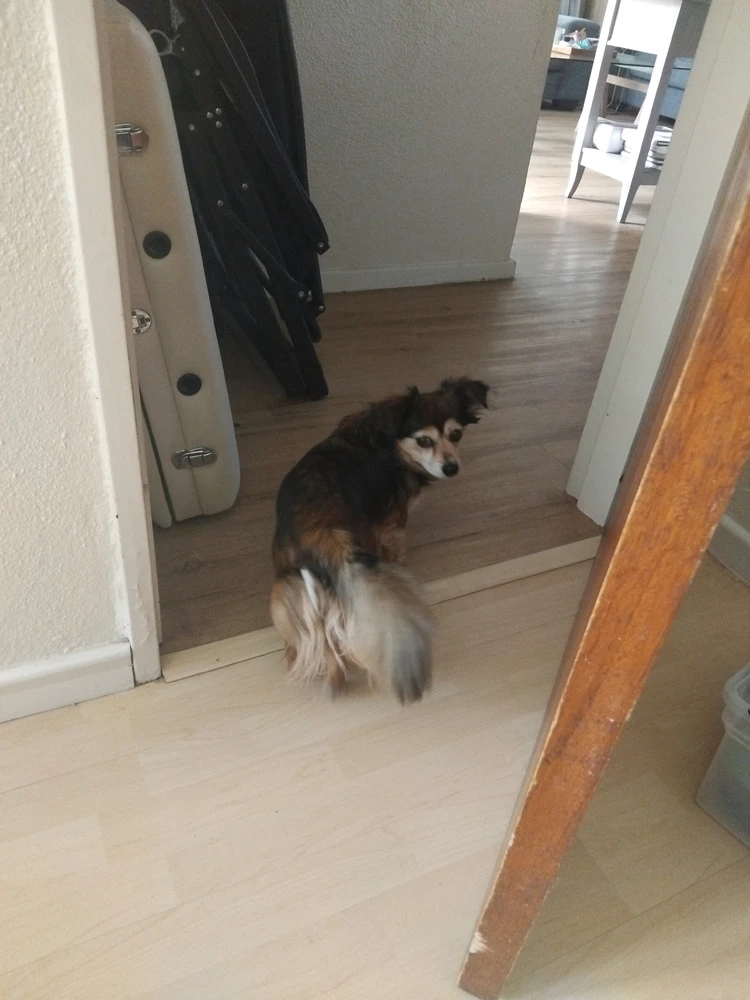 GIF nahrál Skyler