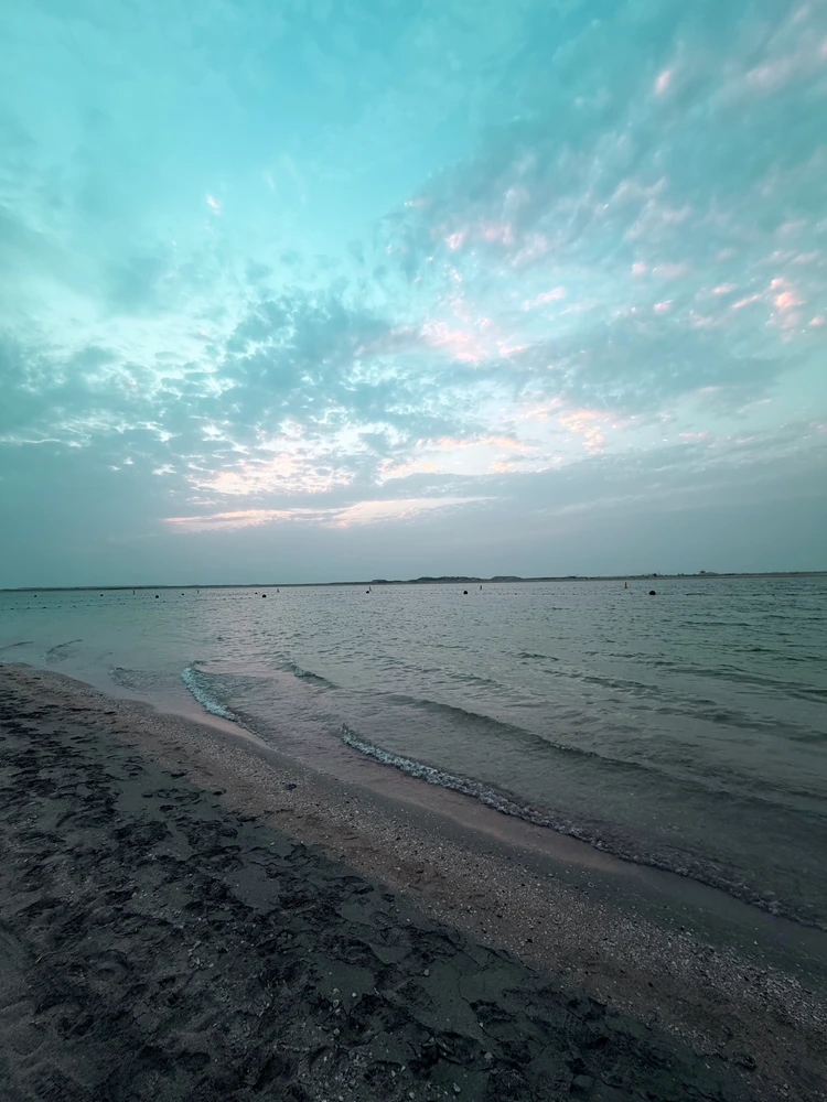 Figo 上傳的 GIF
