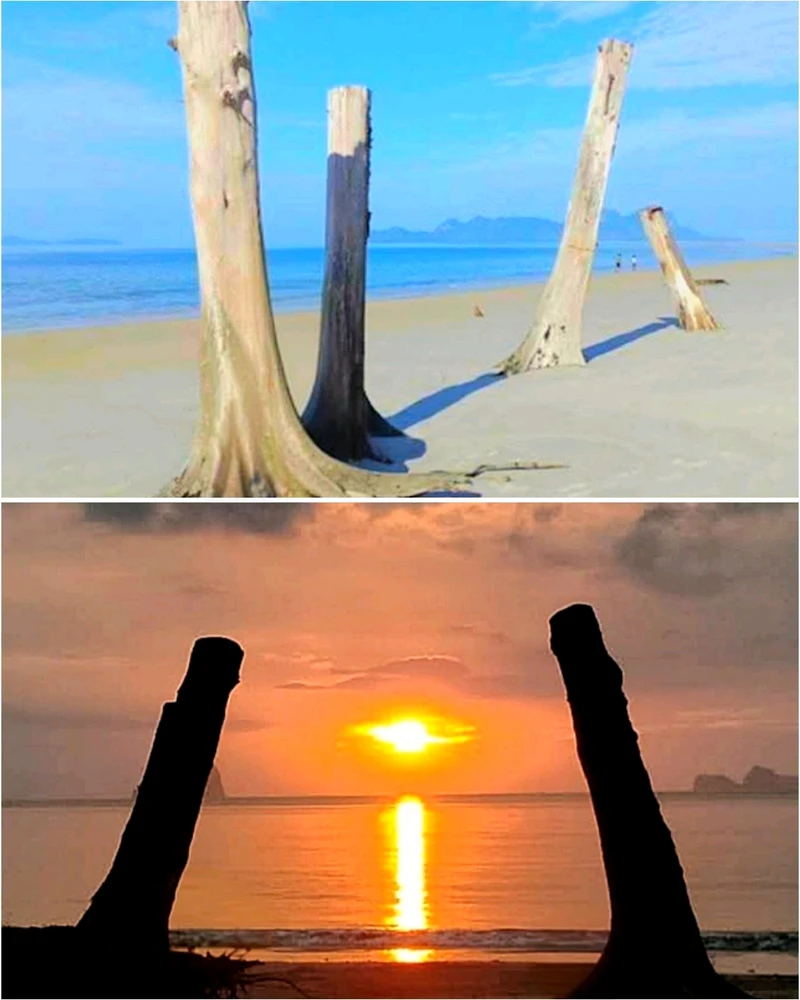 GIF uploaded by Love