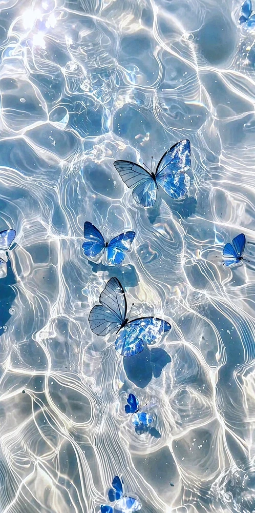 GIF uploaded by loly