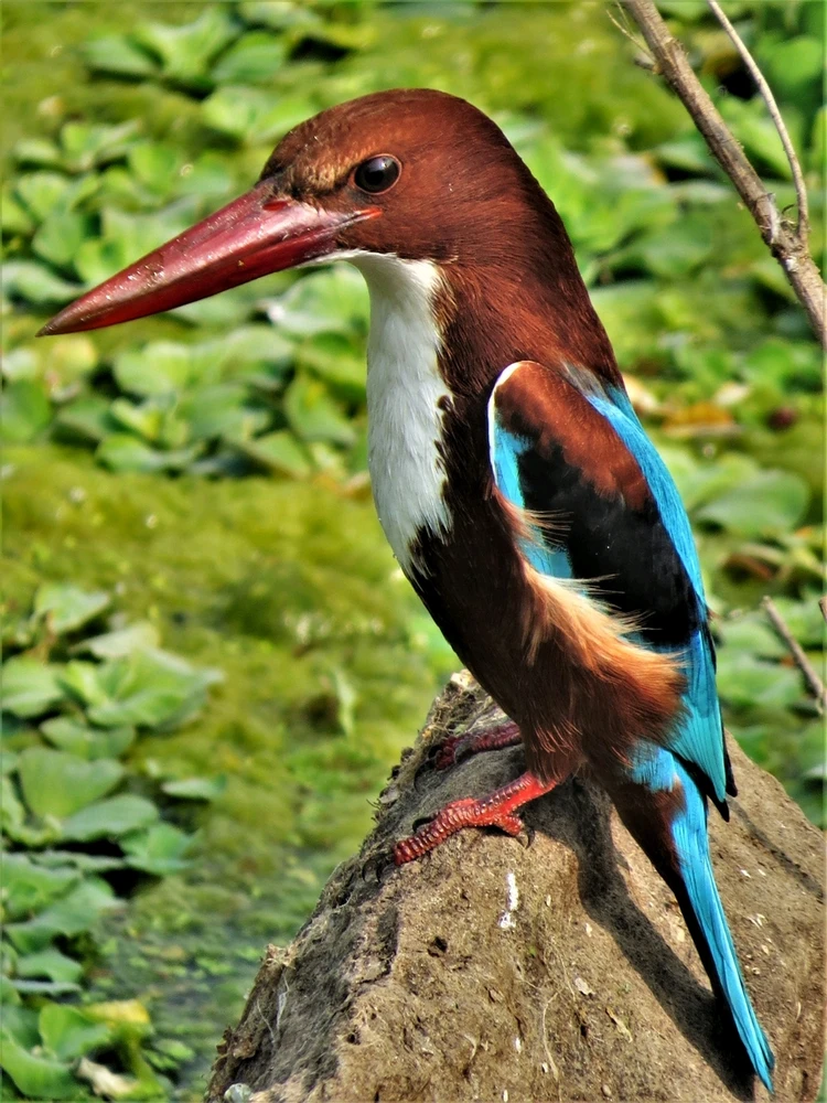 GIF uploaded by Prashant