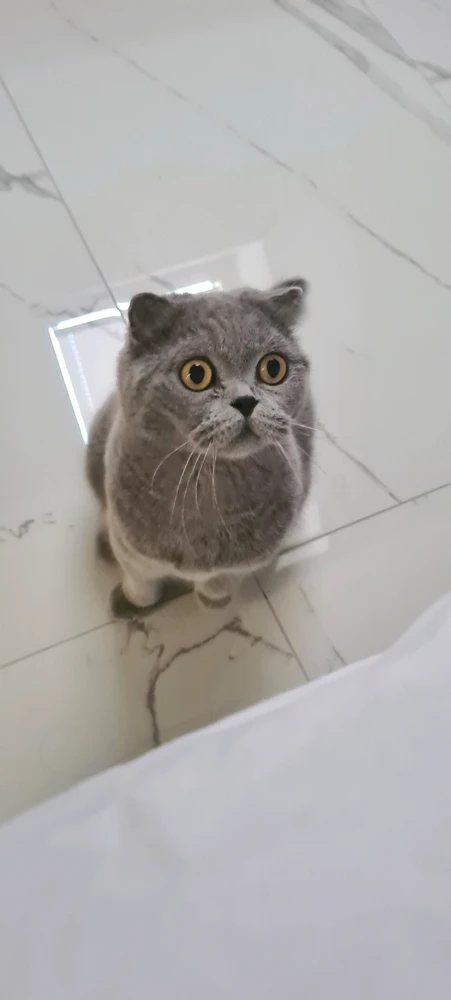 GIF uploadet af Rain