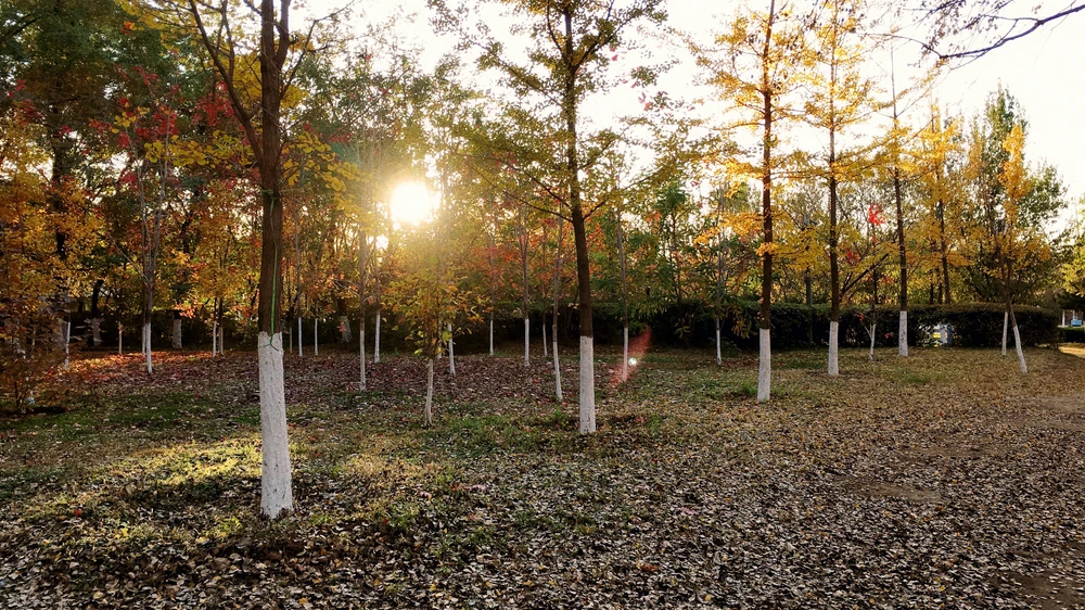 Sunn, 上傳的 GIF
