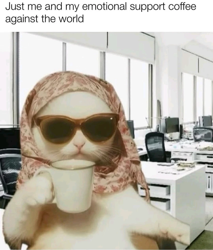GIF uploaded by CHIKI