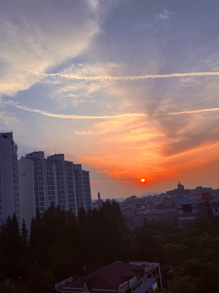 cy 上傳的 GIF