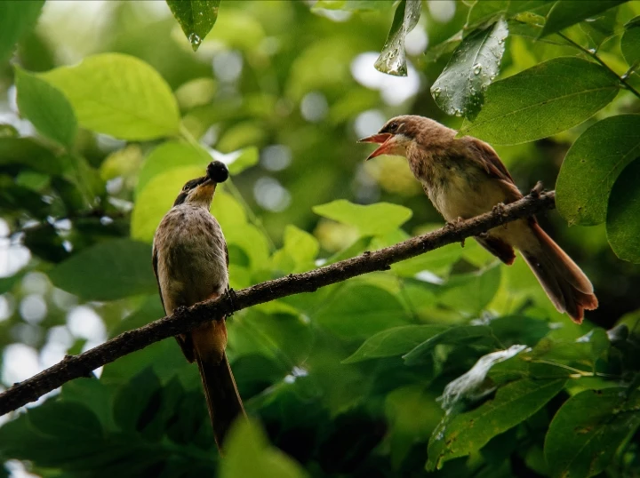 The beauty of a mother’s love in nature🥹