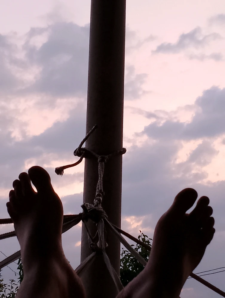 GIF uploaded by Elo