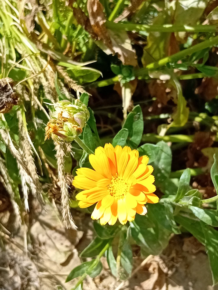 GIF uploaded by Saff