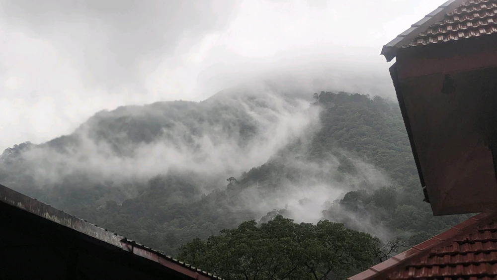 Nikhil上传的GIF