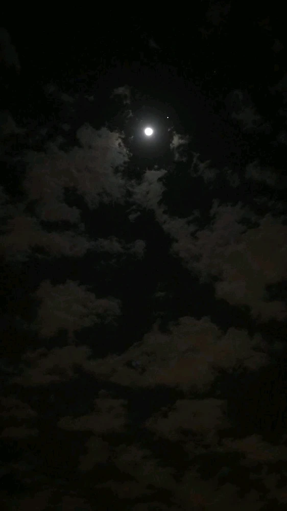 Sumit上传的GIF