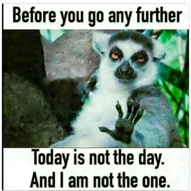 Jam દ્વારા અપલોડ કરેલ GIF