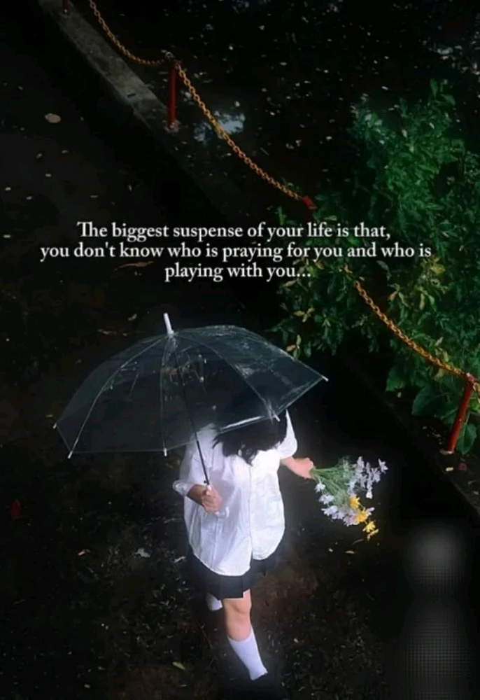 moonveil~上传的GIF