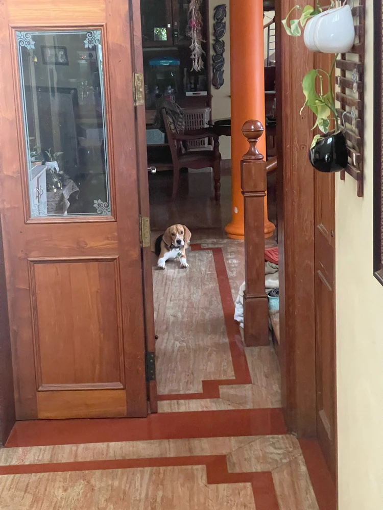 GIF subido por Shiv