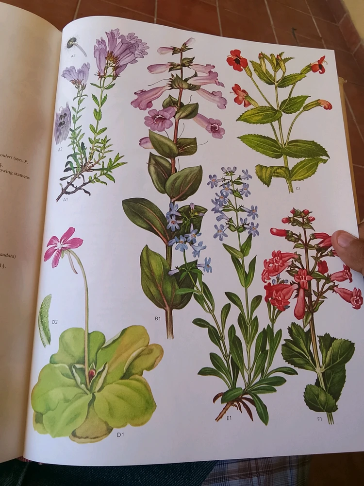 Juan M يوللىغان رەسىم