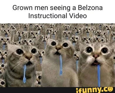 Reed上传的GIF