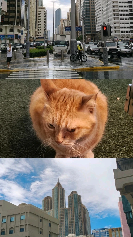 GIF uploaded by Shayaan