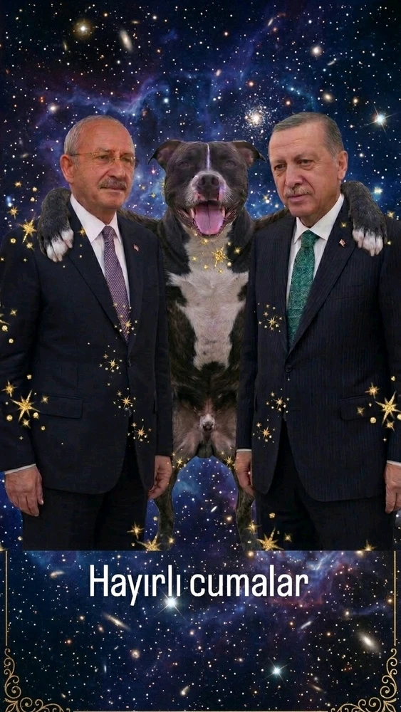 GIF uploaded by cosmik debris