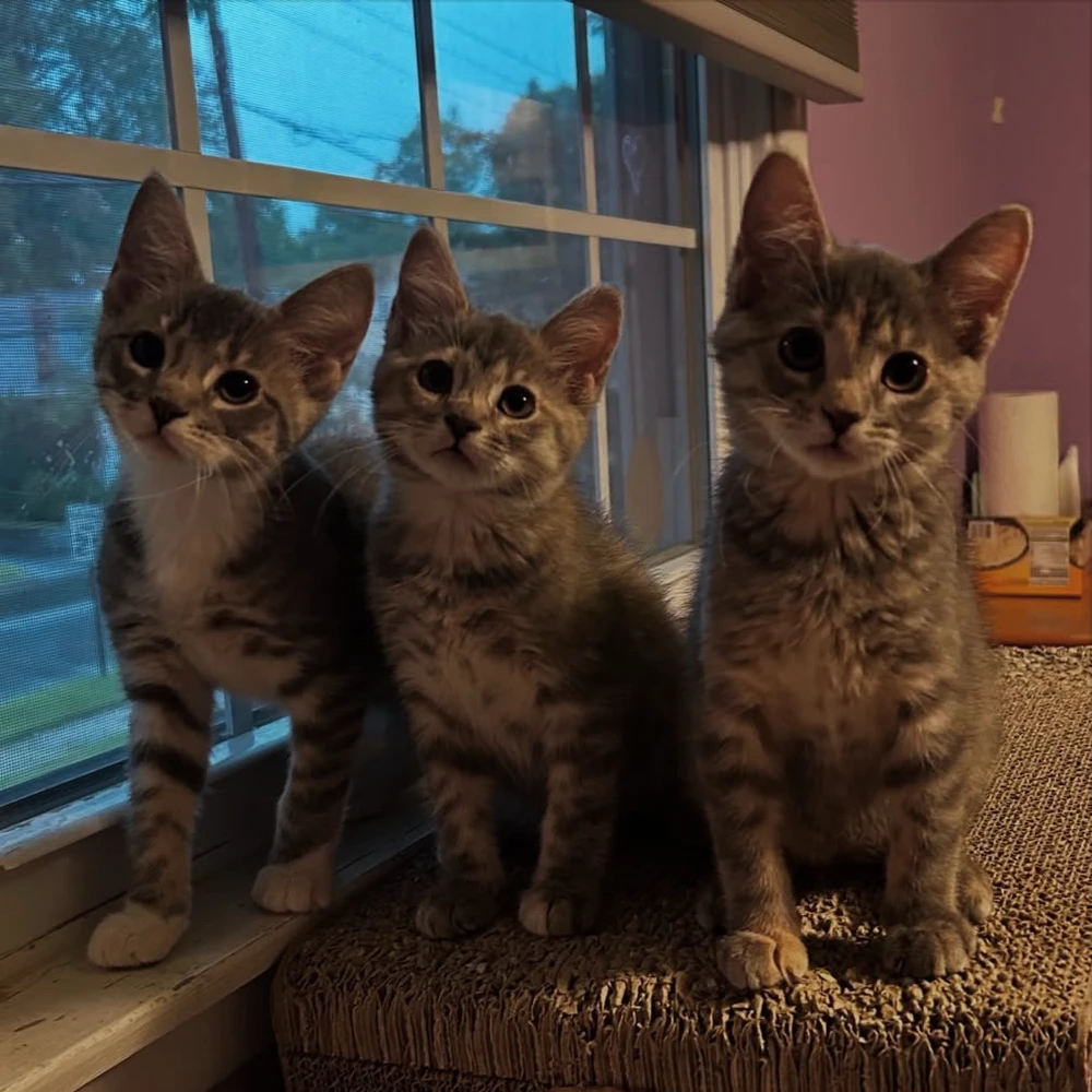 GIF uploaded by Sebastian