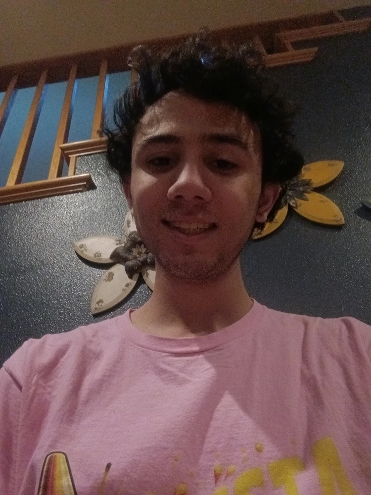 GIF sent inn af Gabriel Miguel Hamilton