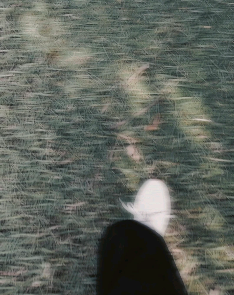 Flowxclove 上傳的 GIF