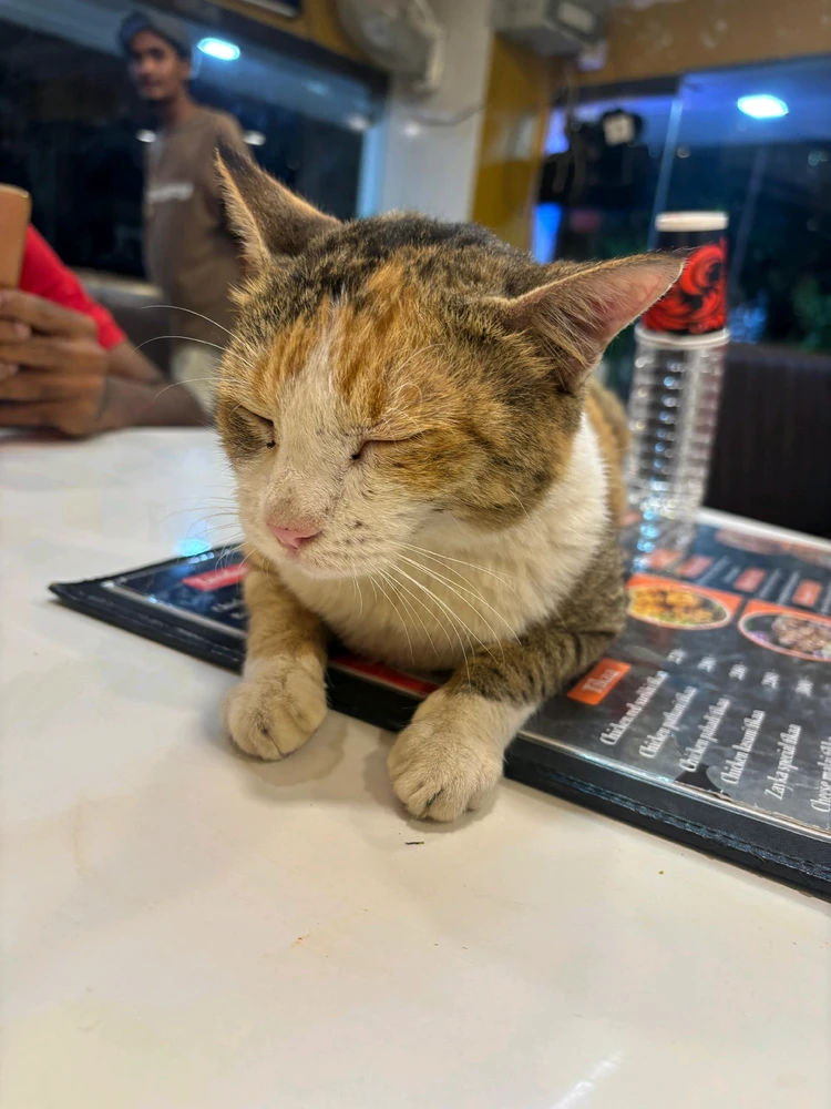 GIF uploaded by Aaditya