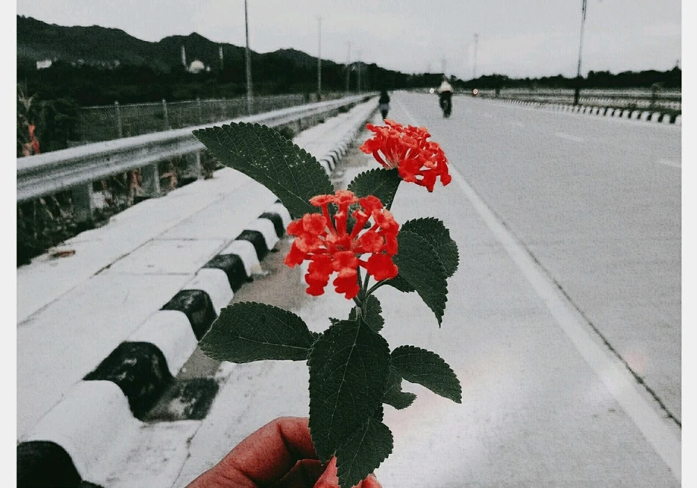 GIF uploaded by Yayu