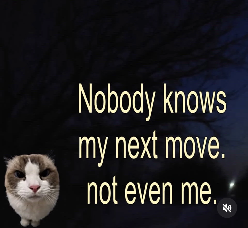 Sunn, йөкләгән GIF