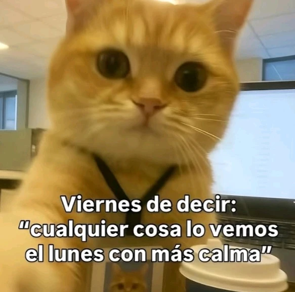 GIF uploaded by Yuli
