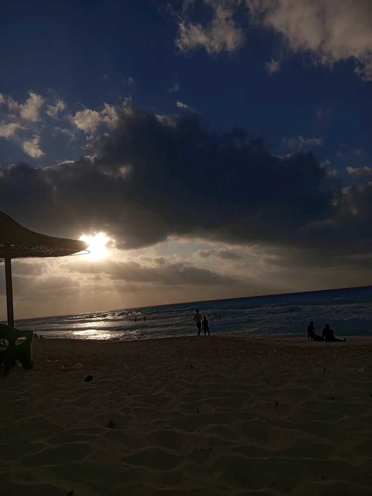 Abdelrahman Mabrouk上传的GIF