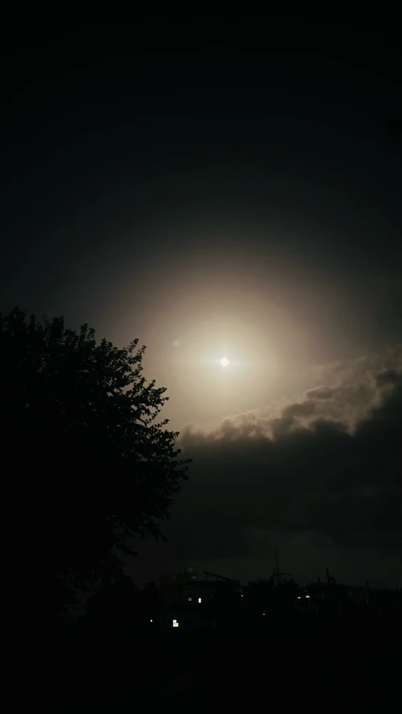 GIF uploaded by OneHeart