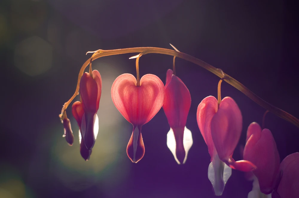 GIF uploaded by Илия