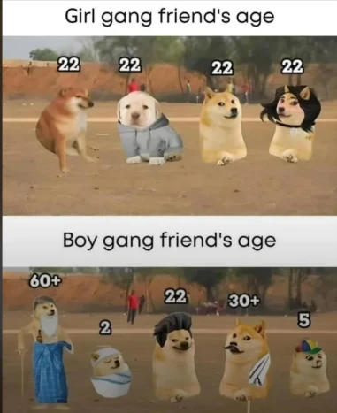 由Waynez上传的图片