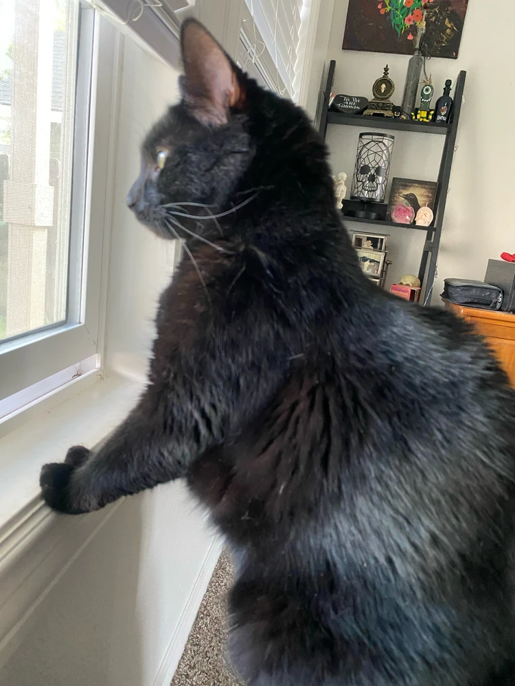 GIF uploaded by Ericka