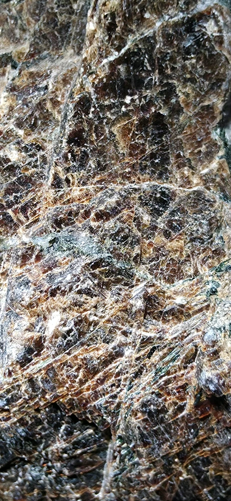 由Hunter上传的图片