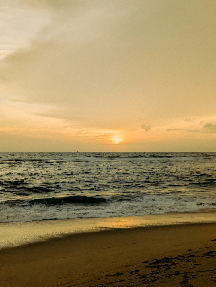 Image uploaded by Omar Ashen
