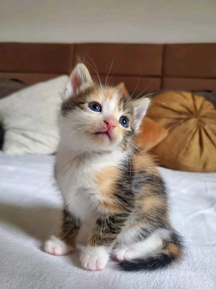 So xute 🥰🥰