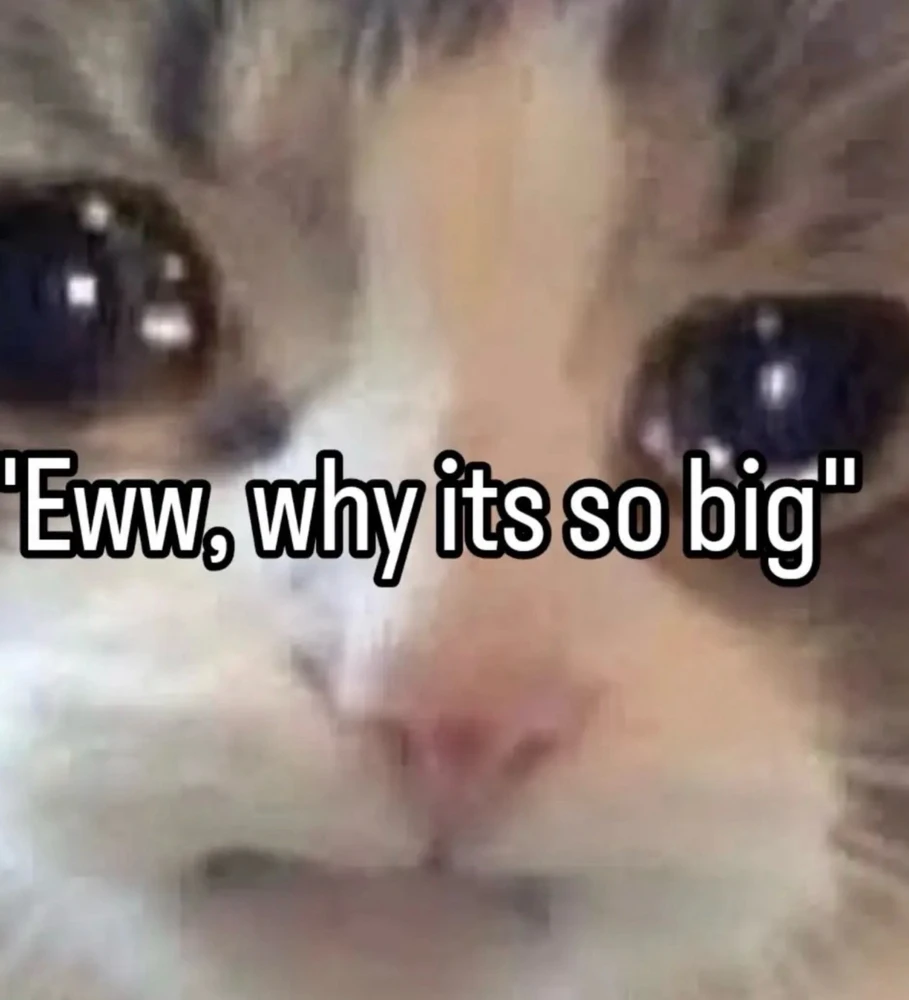 Jan上传的GIF