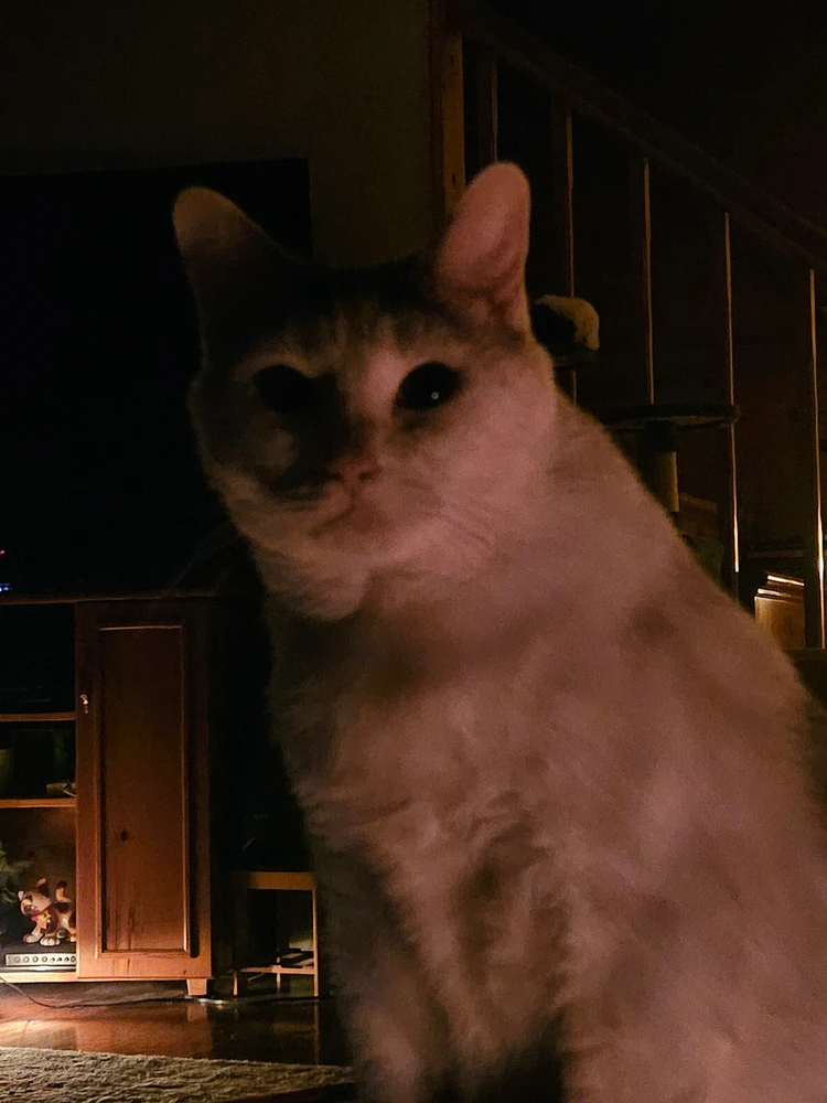 EmilyがアップロードしたGIF