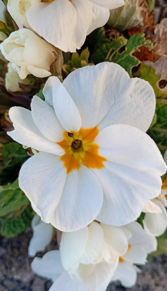 GIF uploaded by Samuel