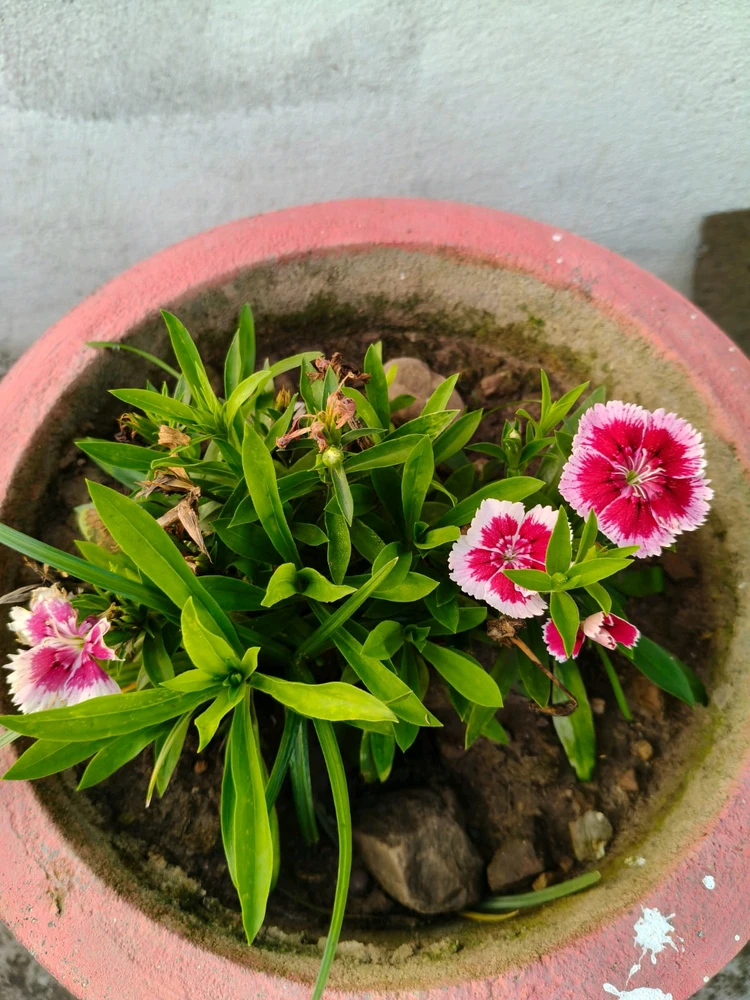 Mukul上传的GIF