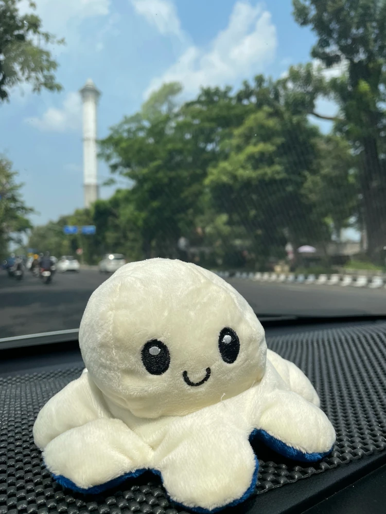 Widi上传的GIF