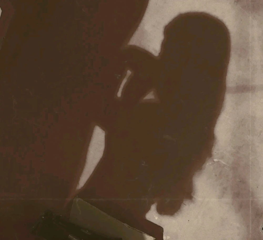 GIF tí Camelia gbé sókè