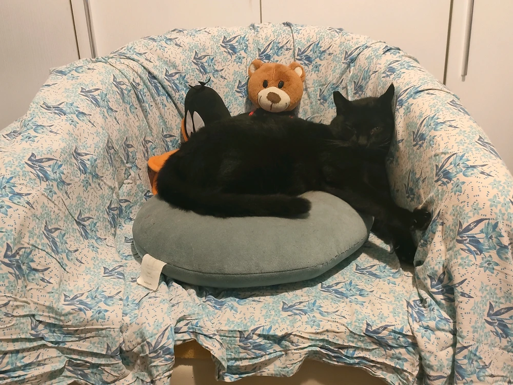 Daniele上传的GIF