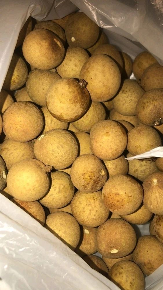 lia يۈكلىگەن GIF