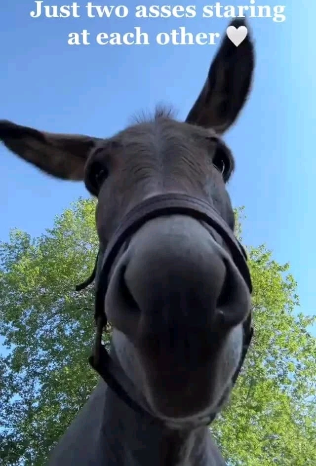 GIF uploaded by /!\ RUIN-U /!\