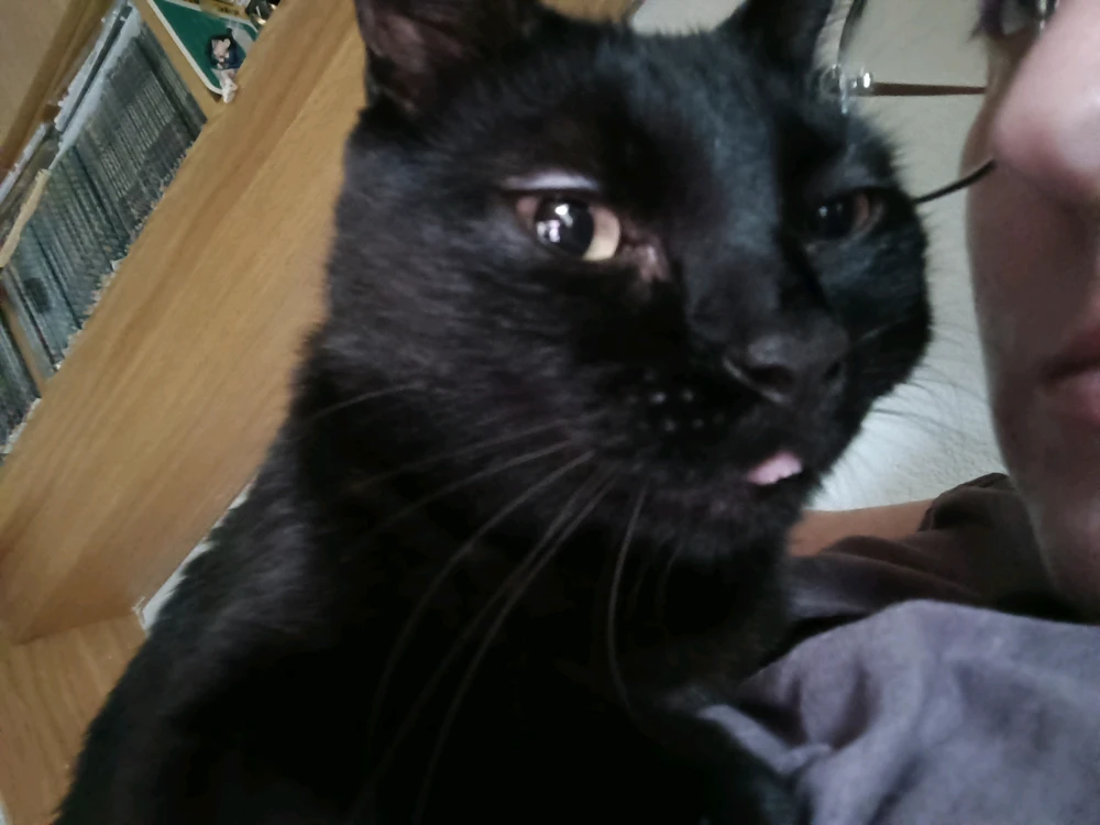 GIF uu soo galiyey Alba