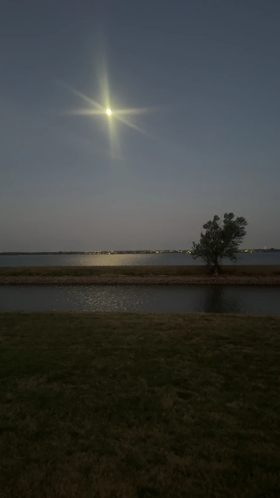 GIF eropgeluede vum Nicholas