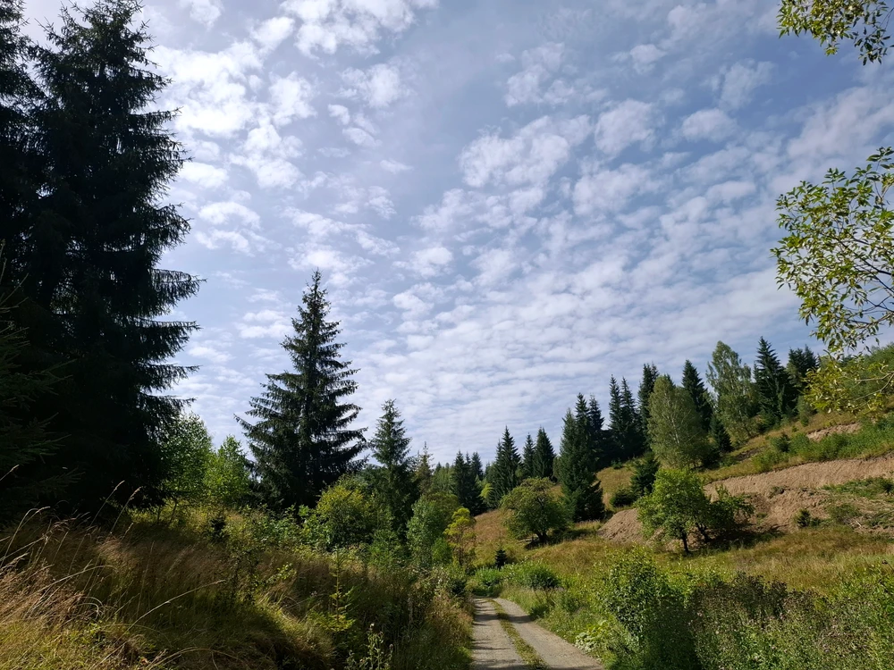 Image uploaded by Jhonu