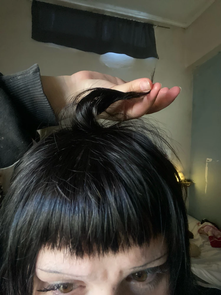 Lina上傳的圖片
