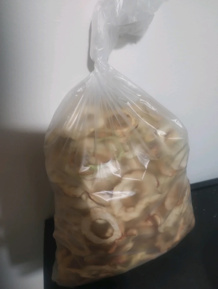 Rogue 上傳的 GIF